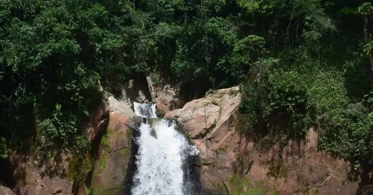 La cascada La Pauchenta se encuentra dentro del área protegida.