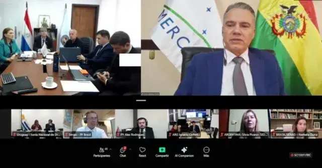 El viceministro Justiniano en la Red Mercosur.