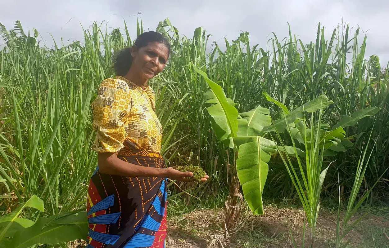 La historia de una mujer agricultora en Malaui demuestra el poder de la tierra y el apoyo
