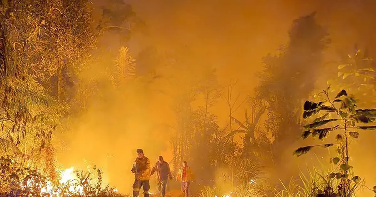 Confirmado: El Niño regresa con un 80% de probabilidad entre junio y agosto de 2026