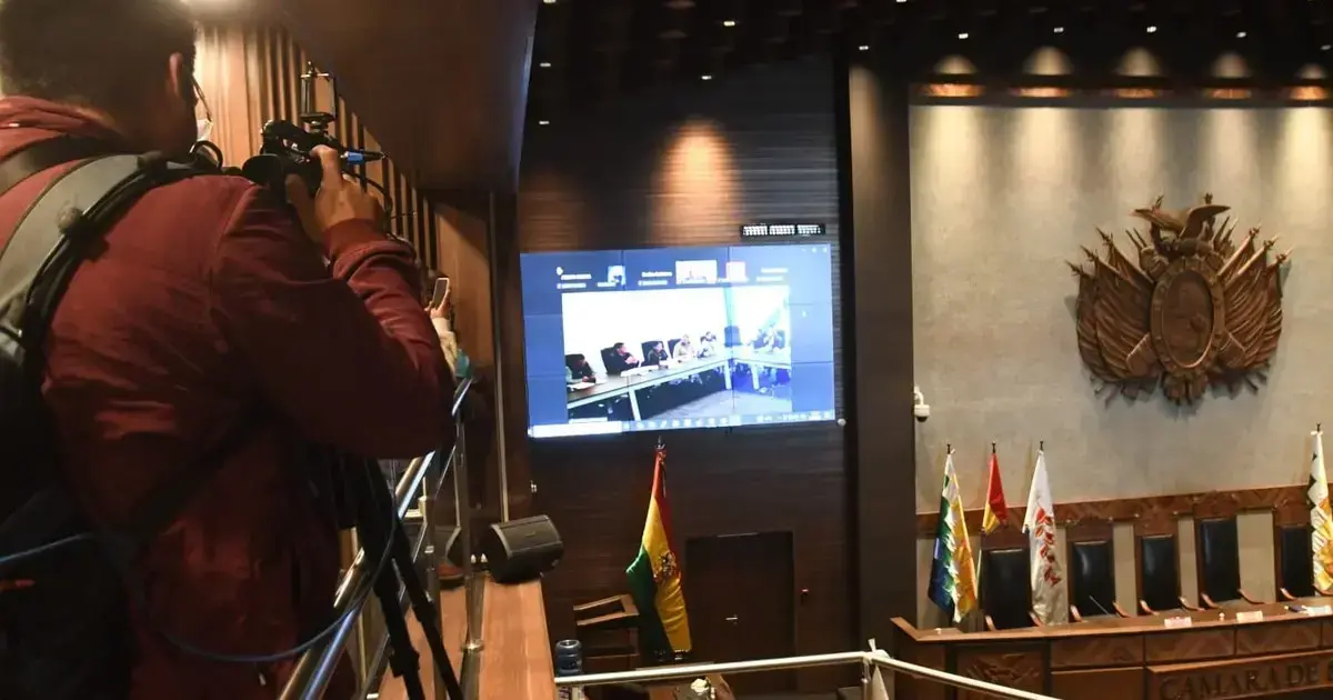 El debate en el Senado fue virtual.