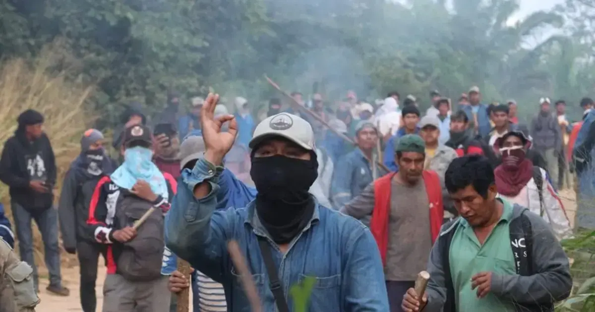 Imagen sin título