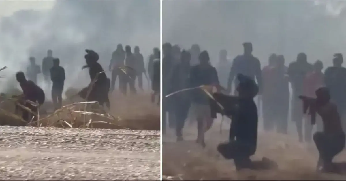 Imagen sin título