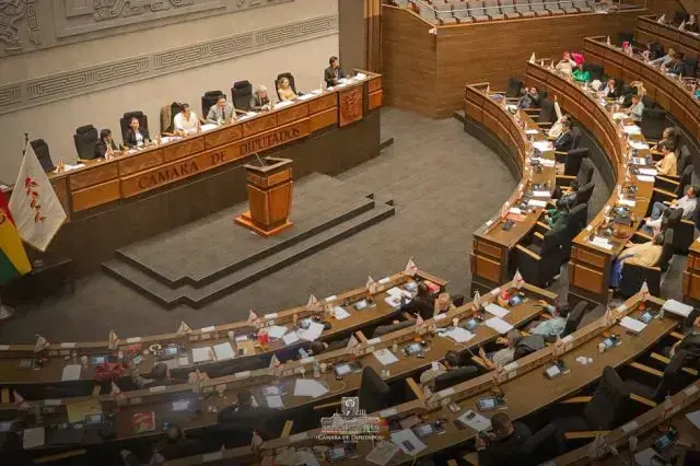 La Cámara de Diputados.