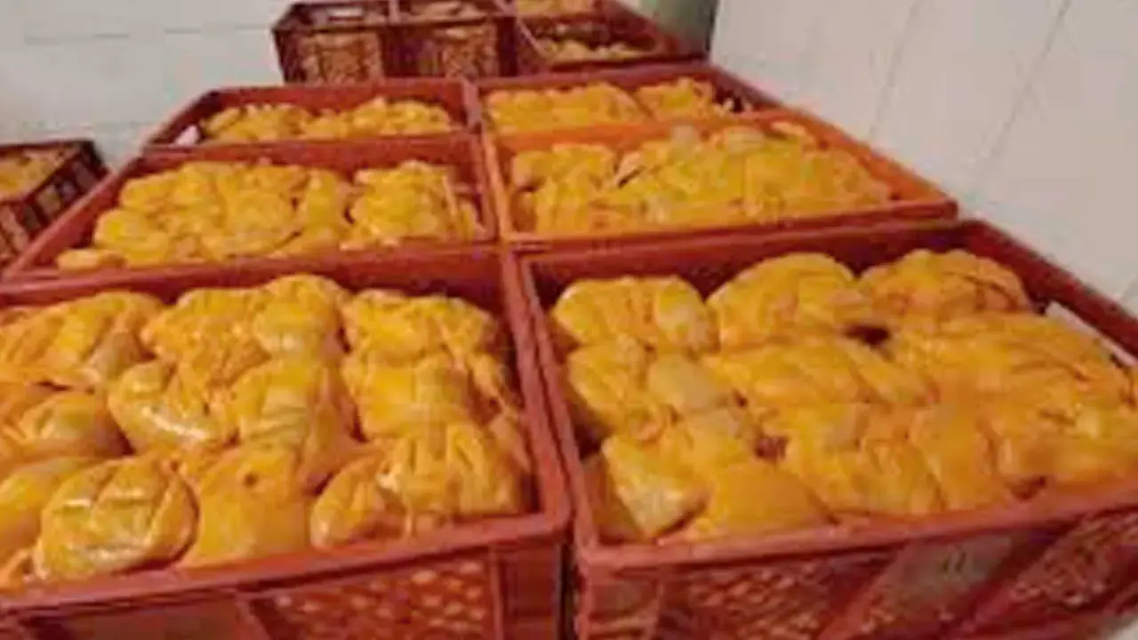 Imagen sin título