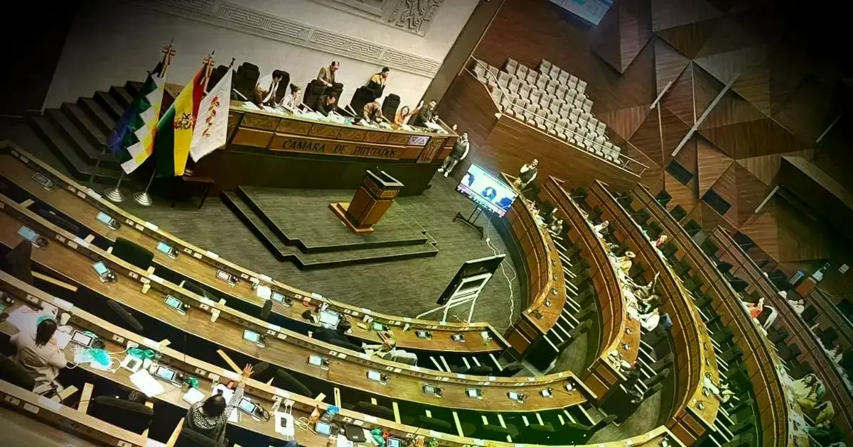 Sesión presencial y virtual de Diputados para tratar la Ley de Estados de Excepción