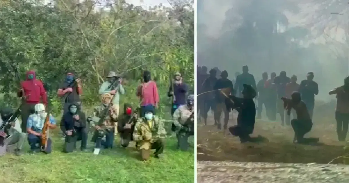Imagen sin título