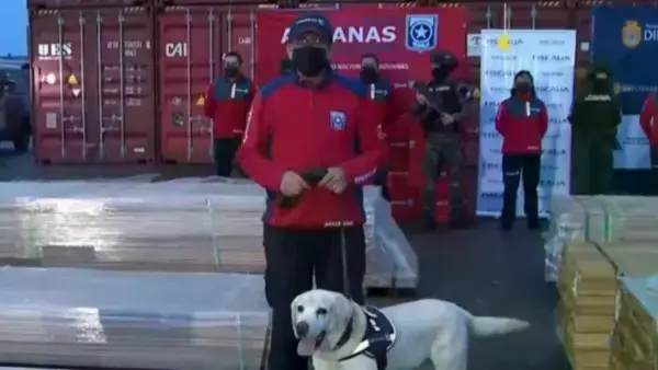 Agentes de Chile custodian una carga de madera impregnada de cocaína