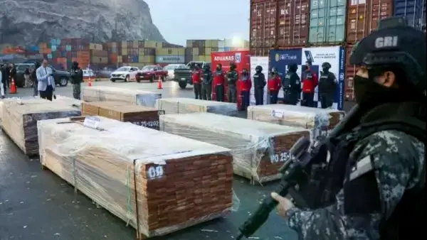 Agentes de Chile incautaron 108 toneladas de droga camuflada en madera