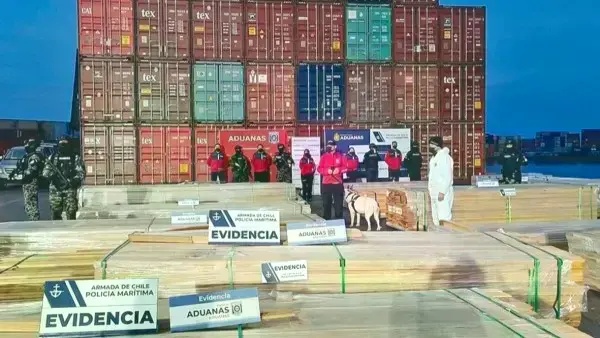 Incautación de cargamentos de madera.