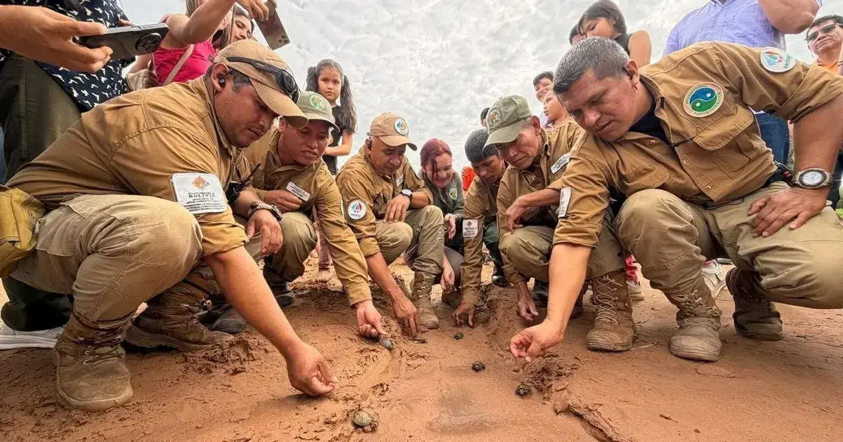 La población participó en el evento de liberación de las tortuguitas