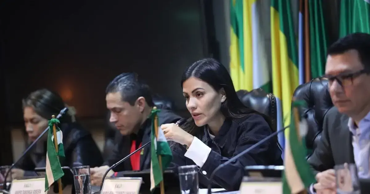 Imagen sin título
