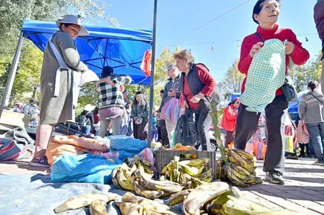 Amas de casa se abastecen de alimentos en ferias organizadas por el Gobierno.
