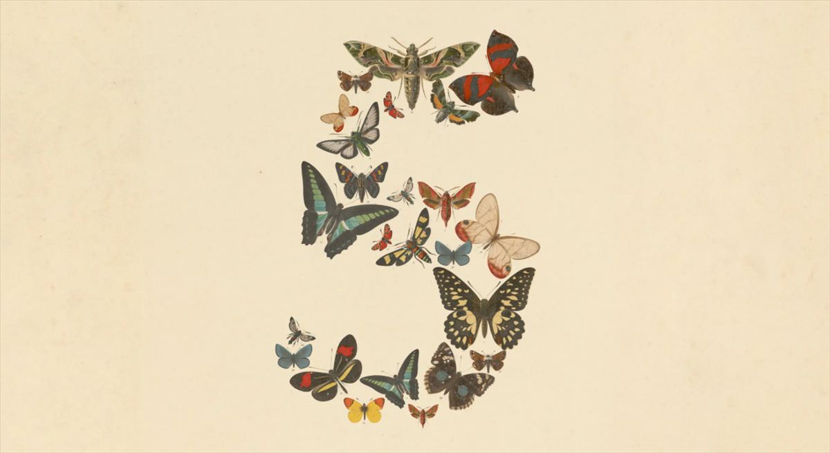 Anthropic Fable 5
