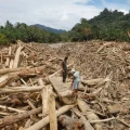 Un hombre camina sobre un tronco usado como puente tras una inundación en Batang Toru.