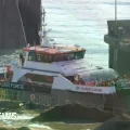 Un grupo de personas, presuntamente migrantes, son trasladadas a Dover por la Border Force.