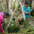 Miembros de Adecaram instalan una cámara trampa en la Concesión de Conservación Tingana.