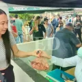 Personas hacen fila para comprar carne a precio reducido en el Frigorífico Municipal.