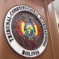Referencia del Tribunal Constitucional Plurinacional.