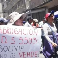 Parte de las protestas que se realizaron en contra del DS 5503.