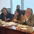 Magistradas del TCP en la comisión de Constitución de Diputados.