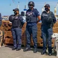 Efectivos y perro adiestrado en el hallazgo de la droga en puerto de Arica.