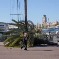 Una peatona sostiene a su perro mientras pasa junto a una palmera caída en medio de una fuerte alerta de viento por la tormen