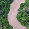 Un río en la selva amazónica.
