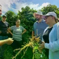 Representantes del programa AL-INVEST Verde visitan plantaciones de café en Minas Gerais.