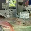 Carne fresca de tiburón vendida como "cação" en mercados callejeros de Río de Janeiro.