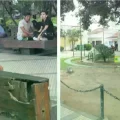 Respaldar de banqueta y area del aljibe en mal estado en la plaza