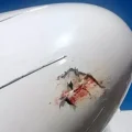 Fuselaje de un avión de BOA tras colisión con aves.