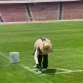 El estadio Hernando Siles recibirá el primer partido oficial de la temporada 2026.