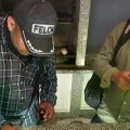 Siete policías aprehendidos por cocaína hallada en recinto de la Felcn