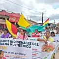 Un grupo de 300 indígenas se sumaron a la marcha que se dirige a La Paz.