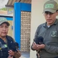 Policías muestran a dos de los cachorros rescatados.