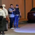 Imagen sin título