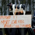 Protesta de ganaderos franceses contra el acuerdo Mercosur-UE.
