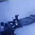 Imagen sin título