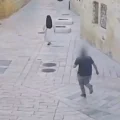 Imagen sin título