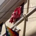 Imagen sin título