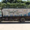 Camión en el que se transportaba los turriles con diésel