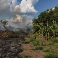 Vista aérea del boscoso Amazonas. La pérdida de bosque podría desencadenar una degradación generalizada.