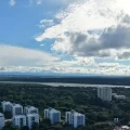 Imagen sin título