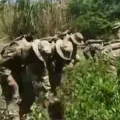 La Fuerza de Tarea Conjunta erradica coca en el Chapare. Foto RRSS
