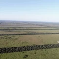 Tierras deforestadas para ganadería cerca de la Reserva de la Biosfera del Chaco.