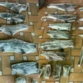 Una parte de las armas encontradas en el operativo.