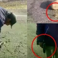 Imagen sin título