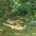 Rescatistas localizaron la extremidad cerca del retén de La Angostura
