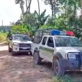 Imagen sin título